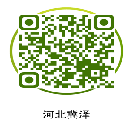 6008集团官方网站